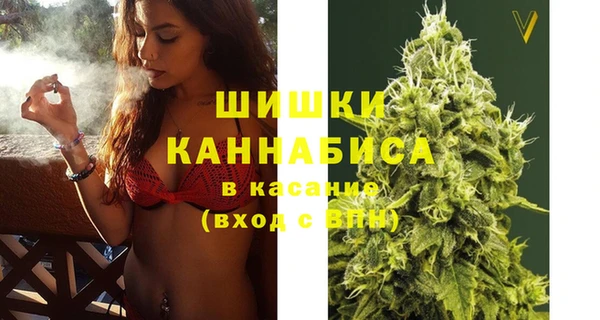 винт Дмитров