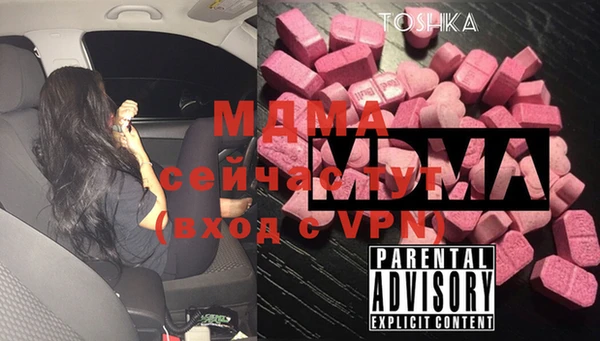 индика Михайловск