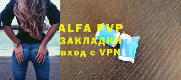 индика Белая Холуница